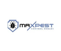 Pest Control Spiders Hobart