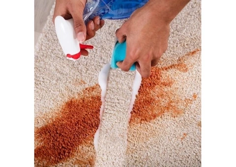 Affordable and Eco-friendly Carpet Cleaning Services in Brisbane