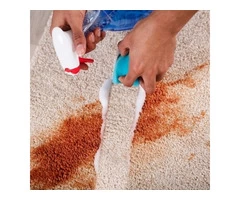 Affordable and Eco-friendly Carpet Cleaning Services in Brisbane