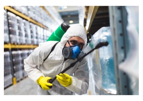 Best Pest Control Adelaide