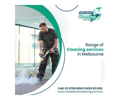 Expert Carpet Cleaning Services in Sandringham