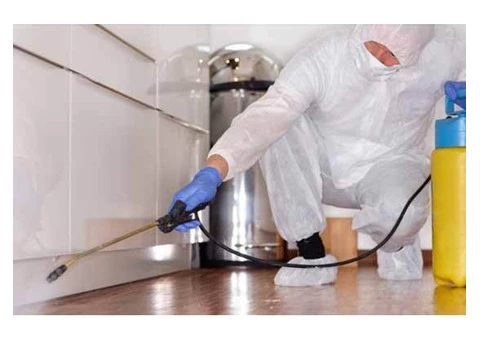 Pest Control Strathfield - 6/7