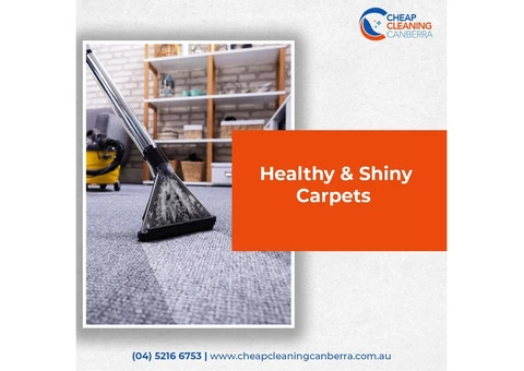 Professional Carpet Steam Cleaning Services in Canberra