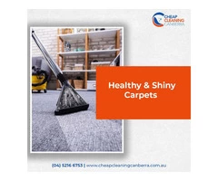 Professional Carpet Steam Cleaning Services in Canberra