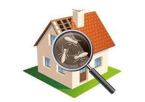 Pest Control Nundah - 6/6