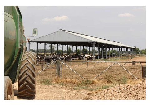 Dairy Shed Design and Construction - Entegra Signature Structures - 3/4