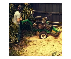 The Dynamic Arborist, ferntree gully