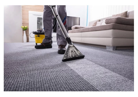 Exclusive Carpet Cleaning in Melbourne: 100% Quality & Professional