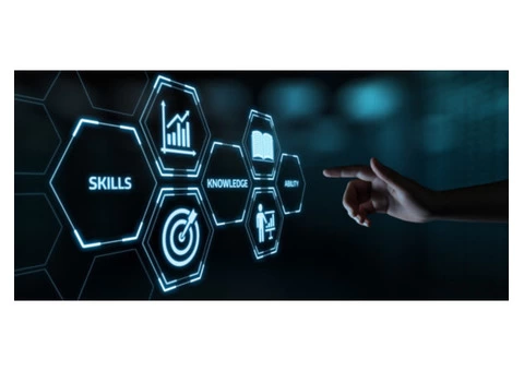 RTO Intelligence offers temporary or ongoing support