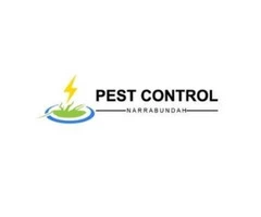 Pest Control Narrabundah