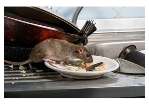 Rat And Mice Exterminator in Melbourne