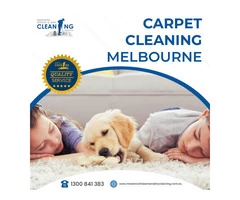 Pet Carpet Cleaning Melbourne