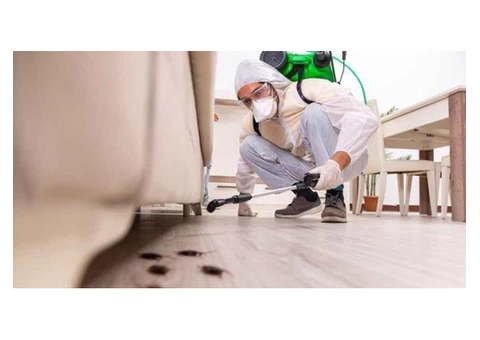 Pest Control Ainslie - 5/7