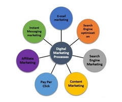 Warehouse Management software service in Delhi