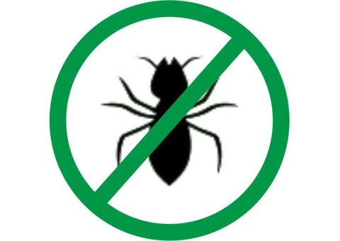 Spider Control Evatt - 3/3