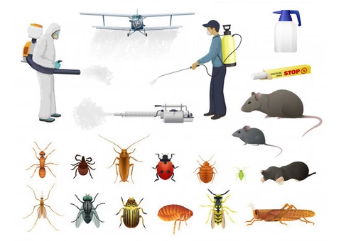 Pest Control Greenway - 2/6