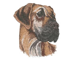 Custom embroidery available in cheap prices