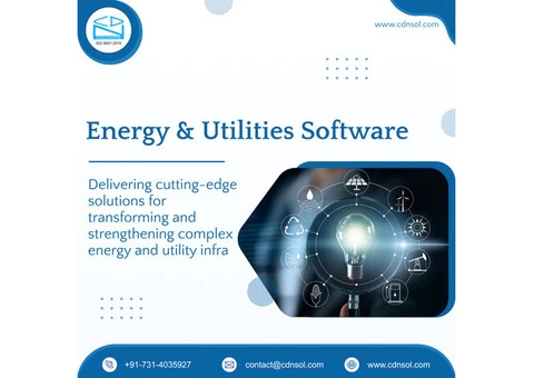 With CDN Solutions Avail Peerless Energy And Utilities Software Solutions