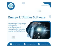 With CDN Solutions Avail Peerless Energy And Utilities Software Solutions