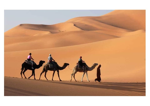 Corporate travel agent - 7/8