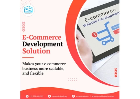 Hire CDN Solution for Custom E-Commerce Development for your Business