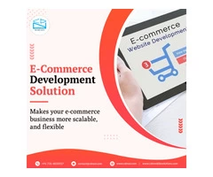 Hire CDN Solution for Custom E-Commerce Development for your Business