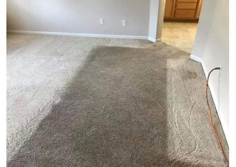 Carpet Cleaning Canberra - 3/4