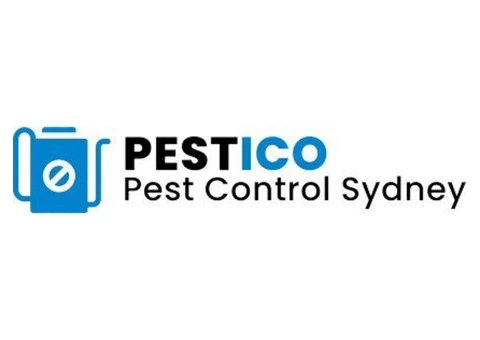 Affordable and High-Quality Pest Control Services in Sydney