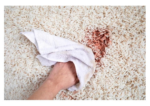 Squeaky Carpet Cleaning Canberra - 4/4