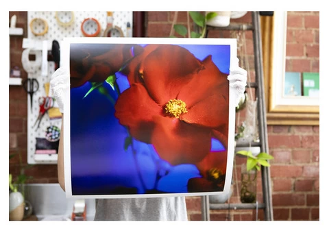 Acrylic Face Mounting — Fine Art Photographic Printing Melbourne - Matte Image