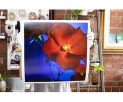 Acrylic Face Mounting — Fine Art Photographic Printing Melbourne - Matte Image