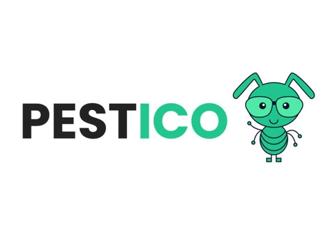 Cost Effective Pest Control Now Available in Brisbane