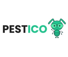 Cost Effective Pest Control Now Available in Brisbane