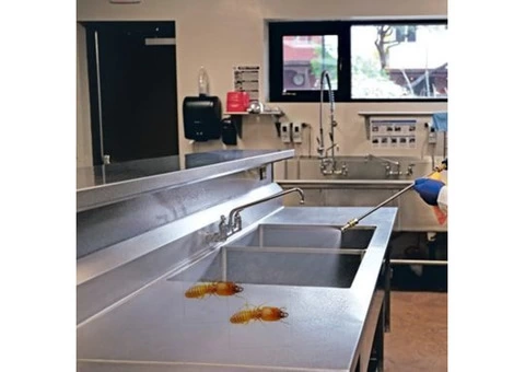 Pest Control Duncraig - 4/4