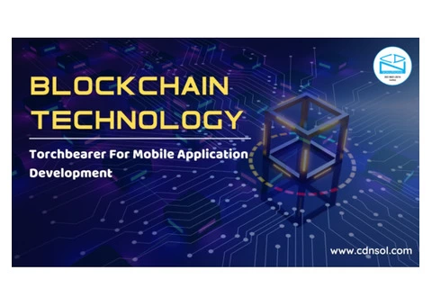 Transformed Businesses Via CDN Solutions Blockchain App Development Services