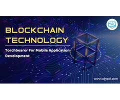 Transformed Businesses Via CDN Solutions Blockchain App Development Services
