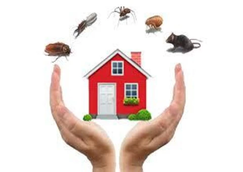 Pest Control Seaford - 7/8