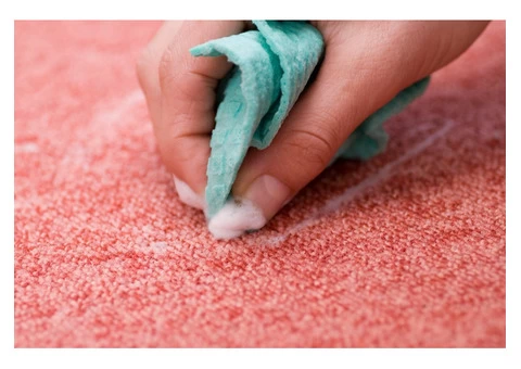 Carpet Cleaning Kogarah - 2/7