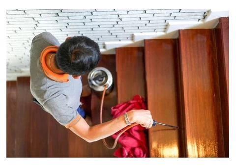 Hire Best Termite Inspections in Adelaide | BPI Adelaide