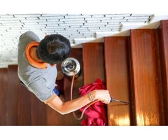 Hire Best Termite Inspections in Adelaide | BPI Adelaide