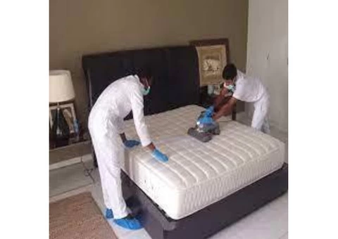 Mattress Cleaning Adelaide