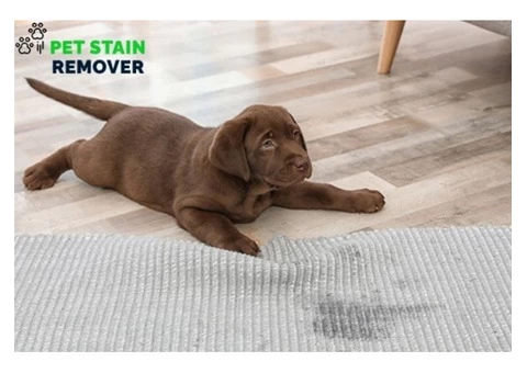 Guaranteed Pet Stain Removal from Carpet by Professionals in Melbourne