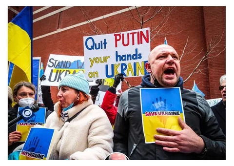 Majellan Media - 3/4