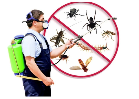 MAX Pest Control Adelaide - 4/5