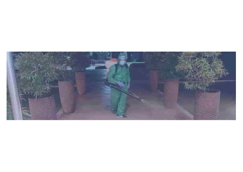 Ant Control Perth - 2/5