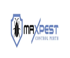 Termite Control Perth