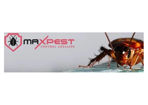 Cockroach Control Adelaide - 2/8