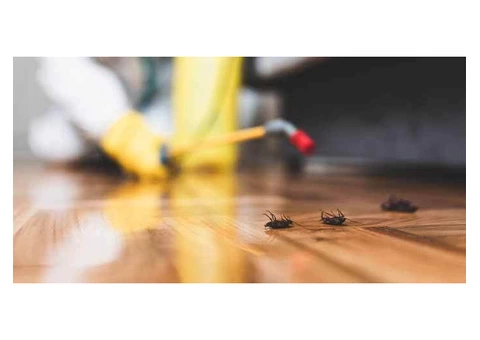 Cockroach Control Adelaide - 4/8