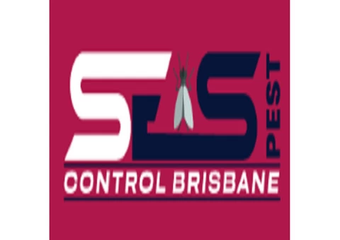 Rodent Control Brisbane