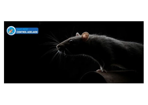 Rodent Control Adelaide - 1/8